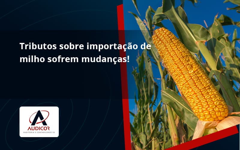 Tributos Sobre Importação De Milho Sofrem Mudanças! Audicor - Contabilidade Em Florianópolis - SC | Audicor Auditoria E Contabilidade